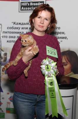 Выставка кошек 'Осенний Кэт-Салон' 30 ноября-1 декабря 2013., WCF-ринги 3088